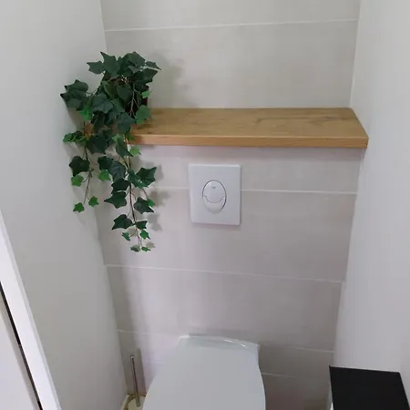 Appartement Confort Au Pied Du Tram